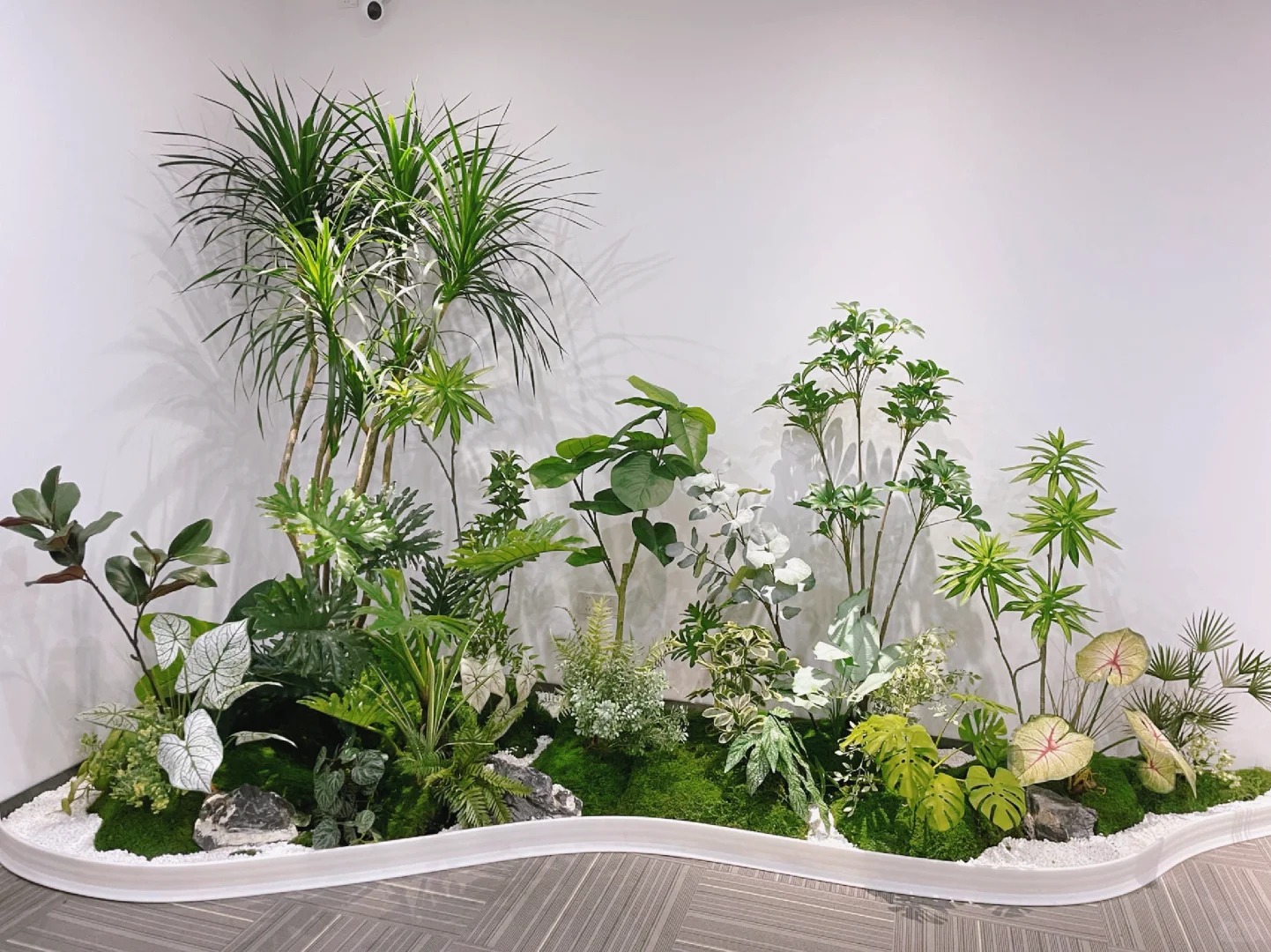 专业绿植租赁,宁波鄞州为您的空间添一抹绿